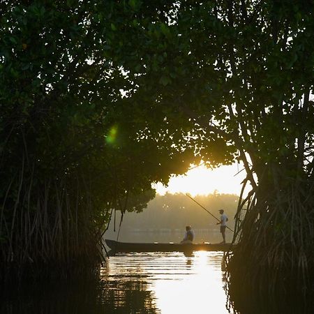 Kalloos Island Backwater Resort Kollam Dış mekan fotoğraf